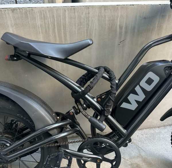 Fat Tire Wo M2X Regular E-bike - Image 3